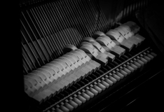 Library_041416_SB_PianoStrings