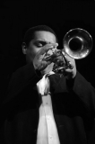 Library_041416_DB_AnsynTrumpet4