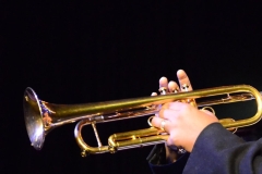 Library_041416_DB_AnsynTrumpetHands