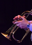 Library_050916_DB_KimFlugelhornHands
