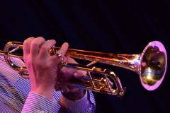 Library_050916_DB_KimTrumpetHands2