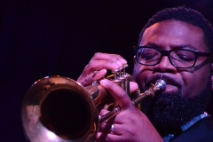 Library_080416_DB_MarlinFlugelhorn1
