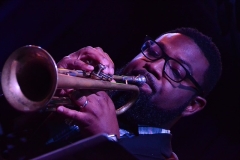 Library_080416_DB_MarlinTrumpet1