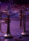 Library_080416_DB_Trumpet&Horn
