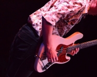 Library_090816_DB_MattBassGuitar2
