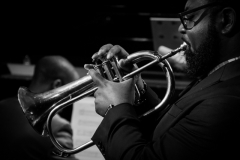 Library_080416_SB_MarlinFlugelhorn2
