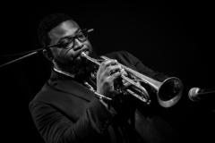 Library_080416_SB_MarlinTrumpet2