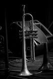 Library_080416_SB_Trumpet