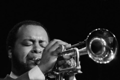 Library_031016_DDB_MichaelTrumpet4