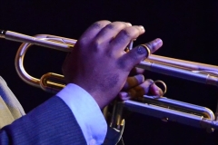 Library_031016_DDB_MichaelTrumpetHands1