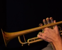 Library_100815_DB_CraigTrumpetHands