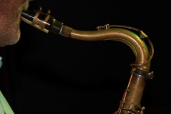 Library_100815_DB_TimSax4