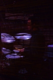 Library_011217_DB_PaulDrums6