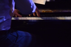 Library_011217_DB_RaleighPianoHands1