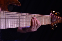 Library_020917_DB_TomBassGuitarHands2
