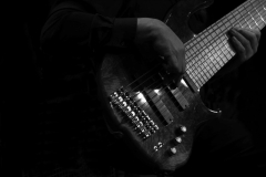 Library_020917_DB_TomBassGuitarHands3
