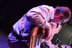 Library_101217_DB_TomBassGuitar7