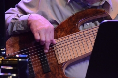 Library_101217_DB_TomBassGuitarHands1