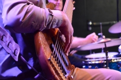 Library_101217_DB_TomBassGuitarHands3