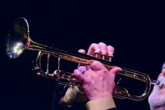 Library_041218_DB_PatTrumpetHands