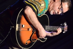 Library_051018_DB_GregGuitar2