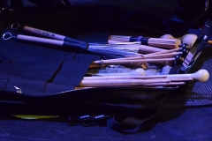 Drumsticks