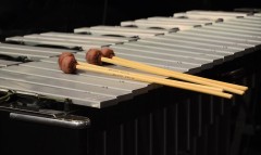 JAL_060823_DB_Sticks