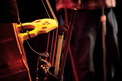 Library_061115_SB_BassBow
