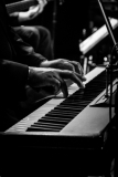 Library _120816_SB_JerryKeyboardHands2