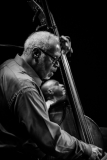 Library _041317_SB_JimBass2