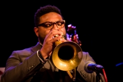 Library_121417_SB_MarlinTrumpetFlugelhorn3