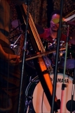 Library_040915_DB_TyroneBassBow